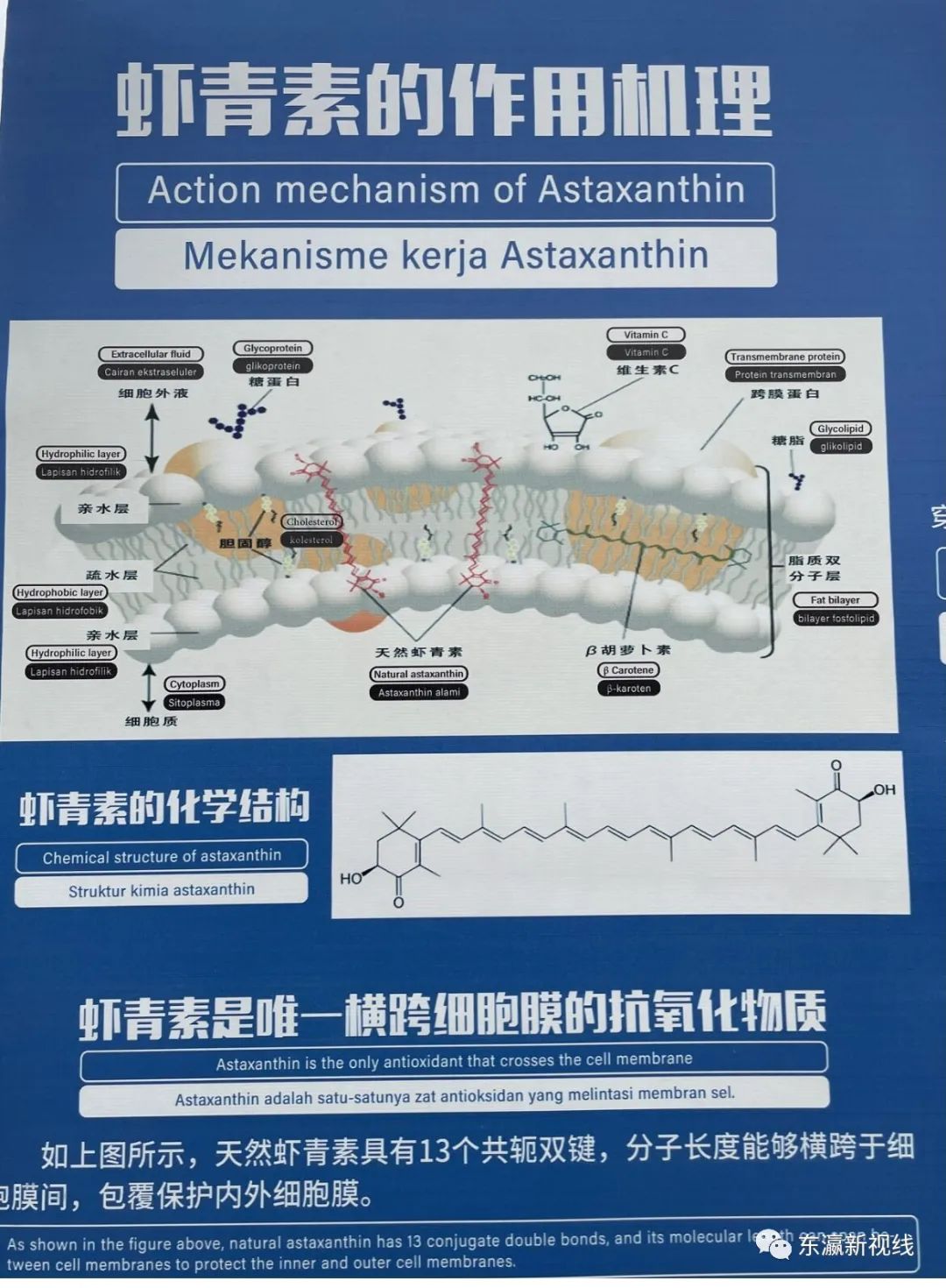 全球虾青素原料龙头“爱生行”和它的创始人，你买的日本保健品可能就有他们的贡献