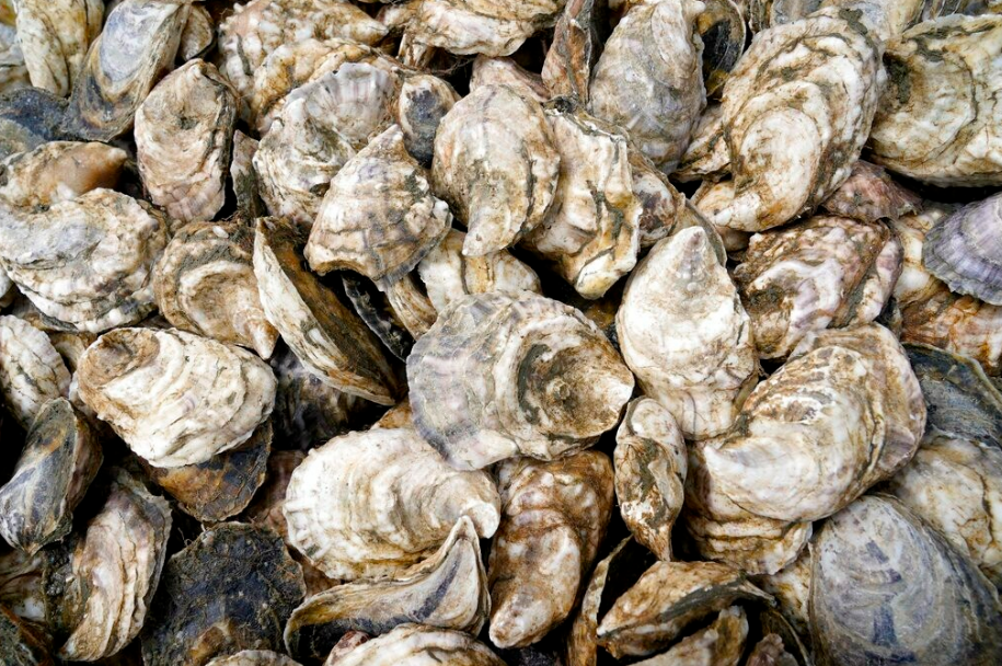 美国男子食用生蚝后死亡，95%吃海鲜死亡由它而起…