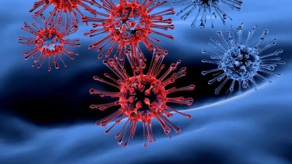 美CDC更新防疫指南 COVID-19确诊免隔离视同流感
