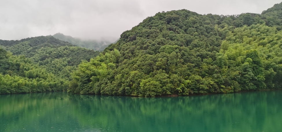 【杭州行】用艺术振兴乡村，渐入佳境