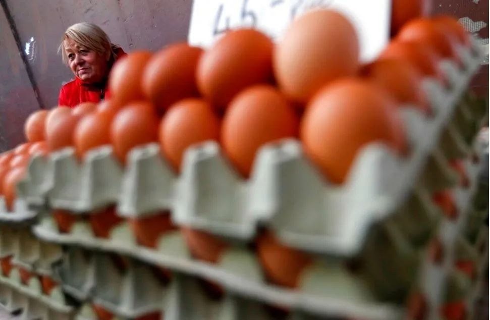 圣诞节前蛋价再涨已至这么高 禽流感和假日季为主因