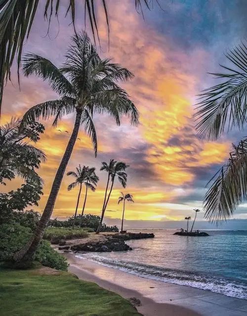 全美最赚钱的房地产市场 竟不是加州和德州