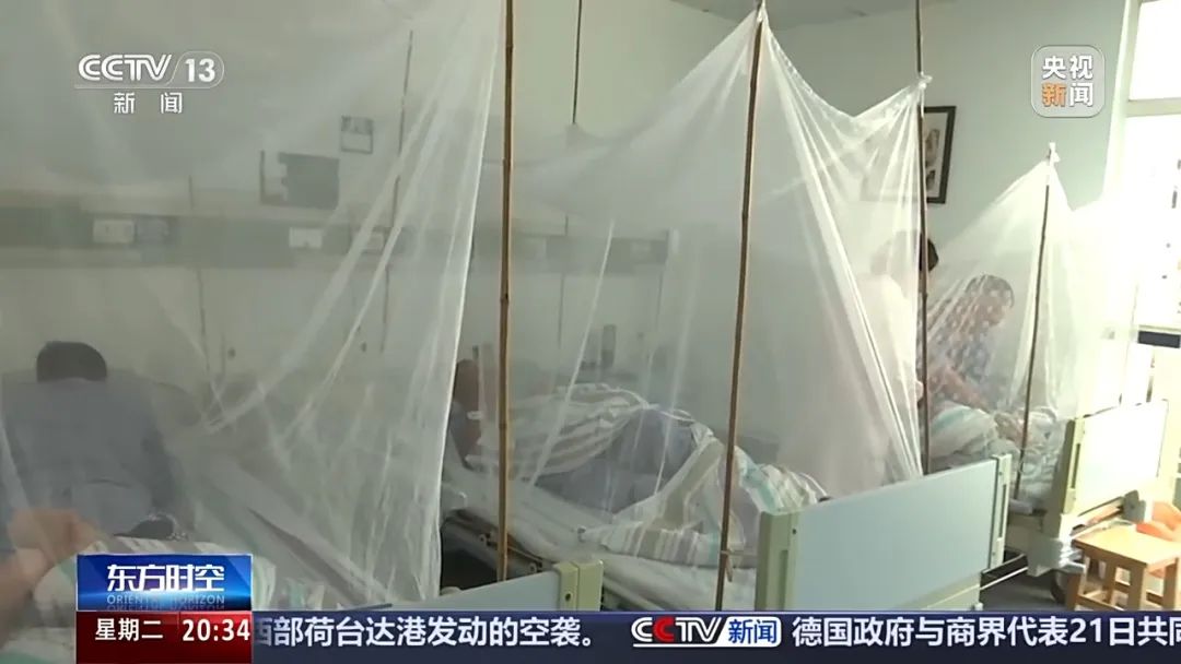 惊！感染基孔肯雅热要隔离 7 天？佛山 7220张隔离床位背后的真相