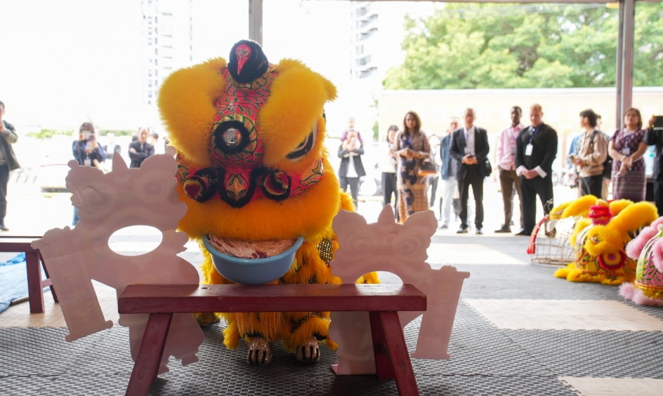 广西柳州“小狮子”出圈东盟：少年舞“活”非遗