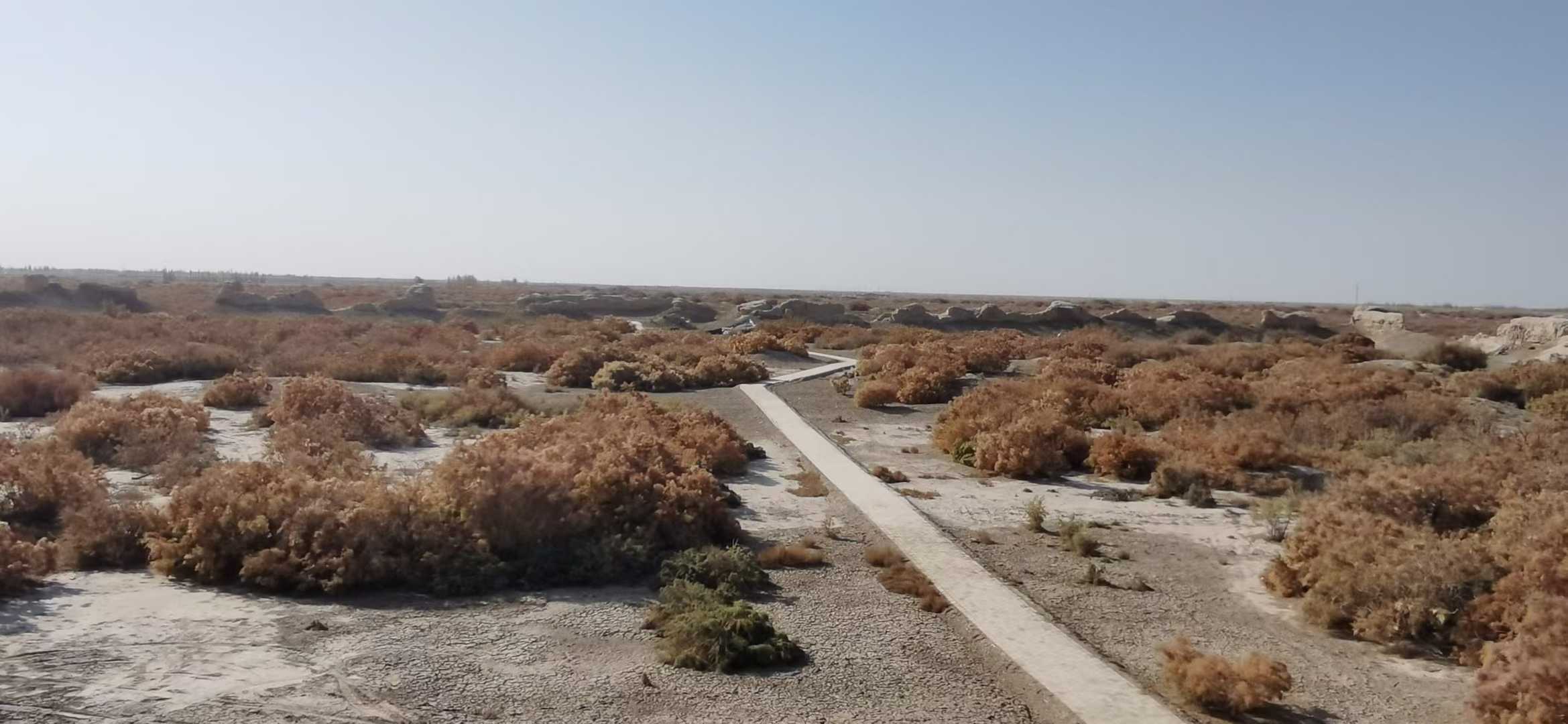 【阿克苏行】考察通古斯巴西城址 探秘丝路文脉