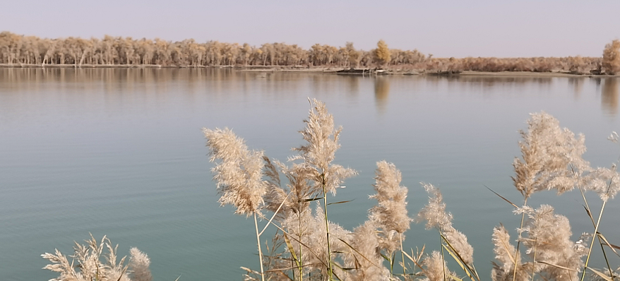 ScreenShot_2025-10-31_173619_747.png ScreenShot_2025-10-31_173619_747.png