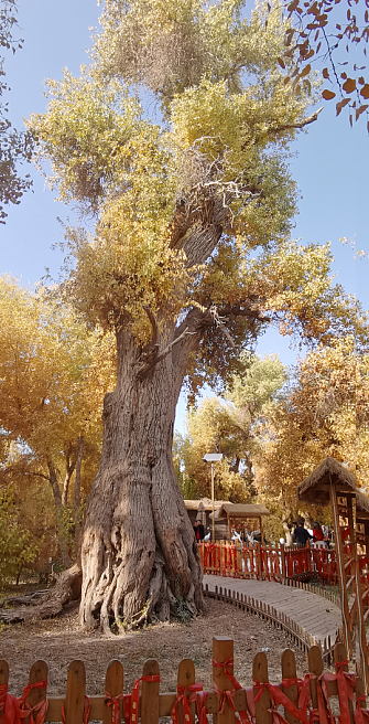 ScreenShot_2025-10-31_174601_600.png ScreenShot_2025-10-31_174601_600.png