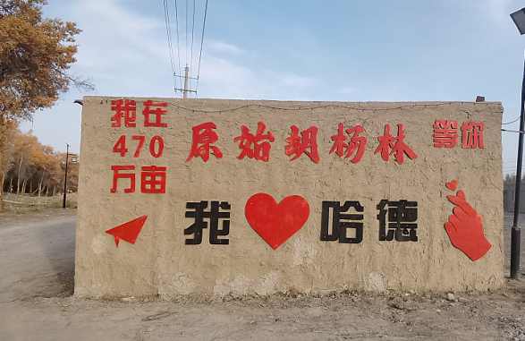 ScreenShot_2025-10-31_200703_862.png ScreenShot_2025-10-31_200703_862.png