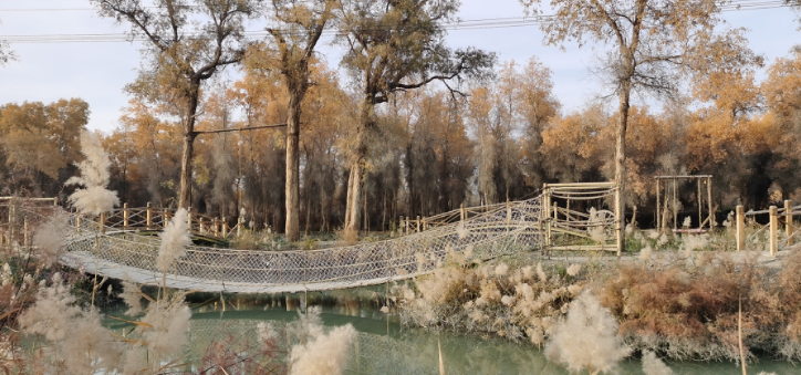 ScreenShot_2025-10-31_200754_246.png ScreenShot_2025-10-31_200754_246.png