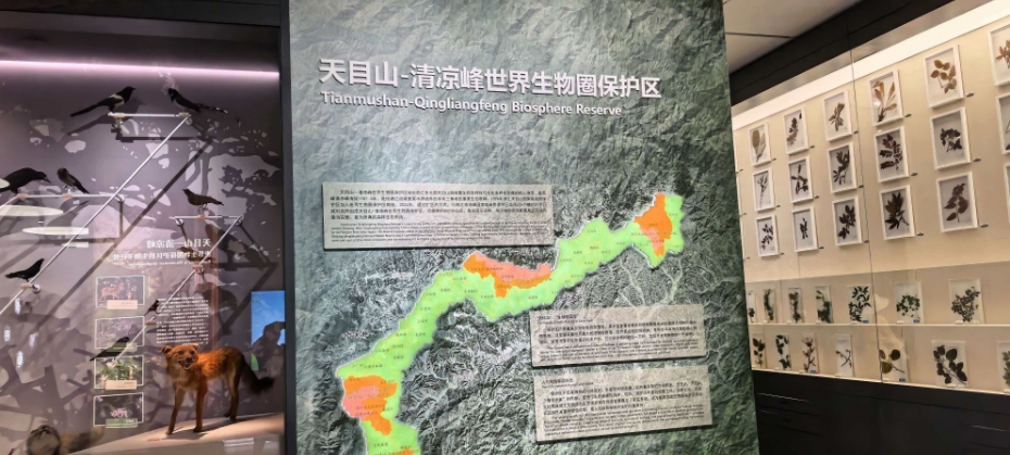 微信截图_20260519223229.png
