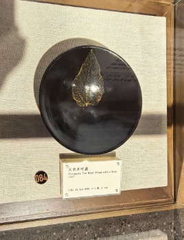 微信截图_20260519225708.png